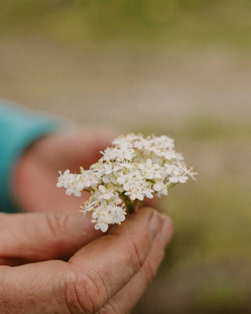 flowers-hand-garden-lifestyle