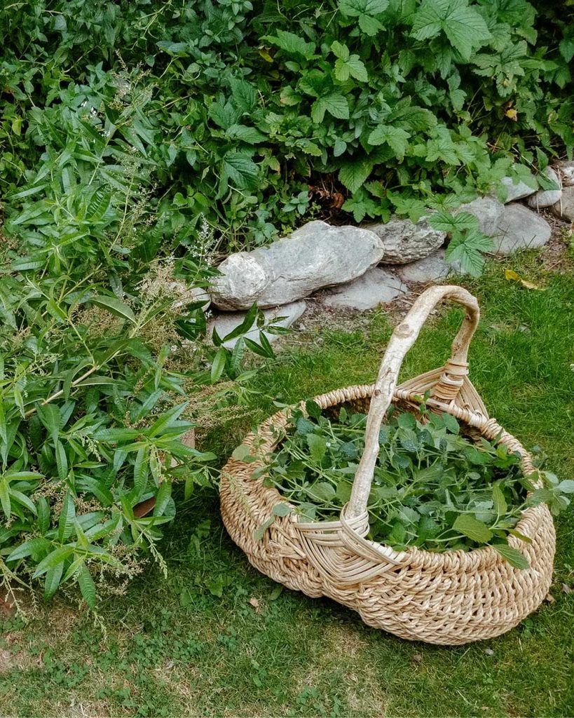 garden-consultation-2