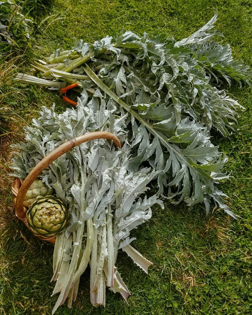 garden-lifestyle-wmw