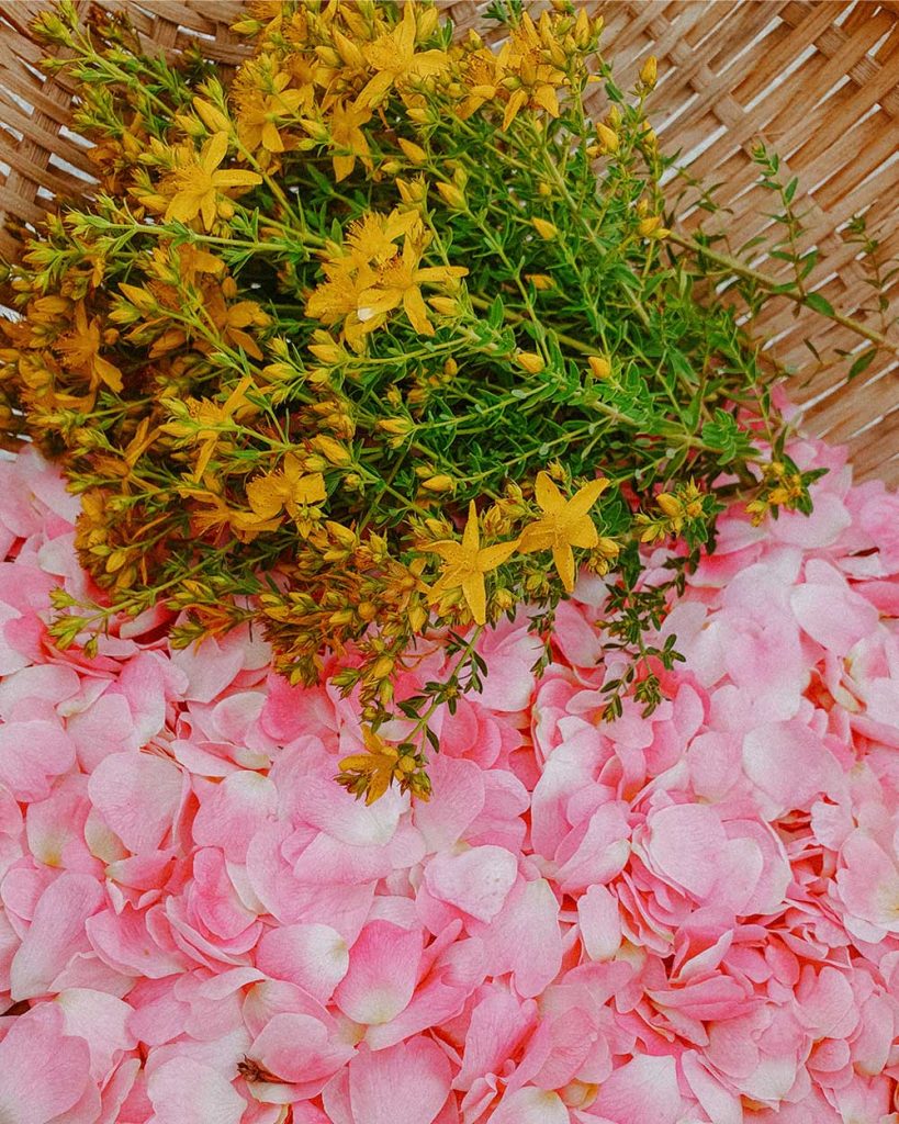 naturopath-consultation-1