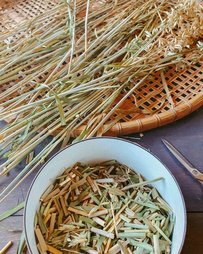 naturopath-consultation-2