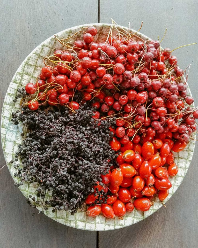 naturopath-consultation-4